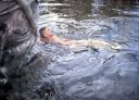 Swimming.jpg
